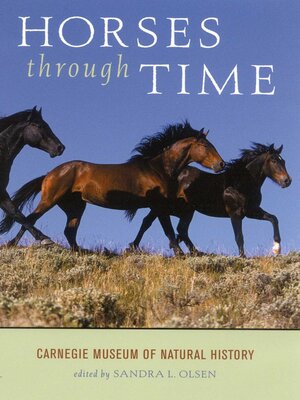 cover image of Horses Through Time